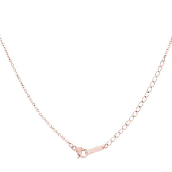 Arianna Rose Gold Stainless Steel Arrow Necklace